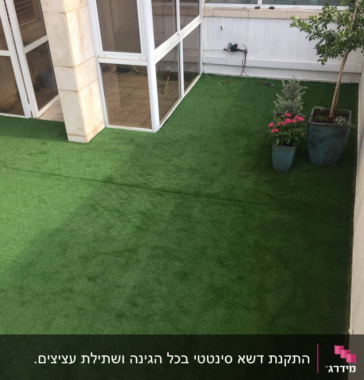 עציצים עם פרחים ועץ על דשא סינתטי